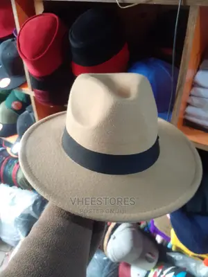 Fedora Hat or Traditional Cap or Panama Hat