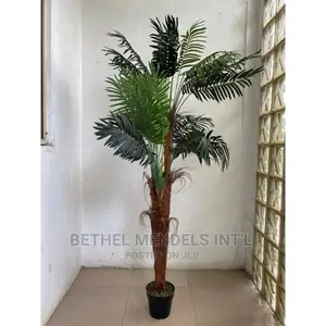 Artificial Palm Plants 165cm | Bulk Sale Palm Plants