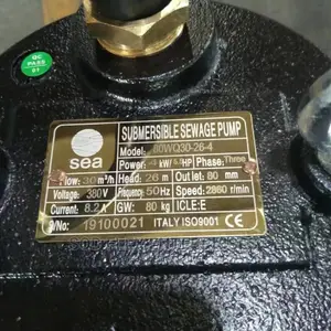 5.5hp Sewage Pump