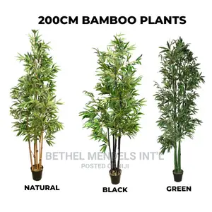 200cm Artificial Bamboo Tree | Bulk Sales of Fake Plants