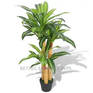 Artificial Dracaena Plants (Fat Trucks) | Wholesale of Plant