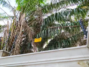 The Benefits of Installing an Electric Fence
