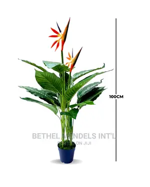 Fake Birds of Paradise Plants | Bulk Plants Sales