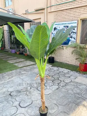 Faux Banana Plants for Indoor Beautifications | Bulk Sales