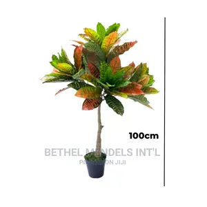 Artificial Banyan Plants for Bulk Sales in Ikeja Lagos