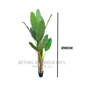 Fake Three Stems Banana Tree | Wholesalers Wanted