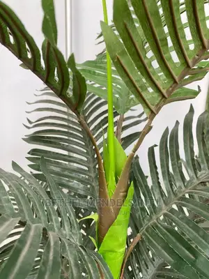 Artificial Palm Plants Perfect for Home Interior Decorations