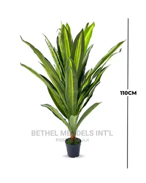 Artificial Plants Sales | Single Dracaena Plants