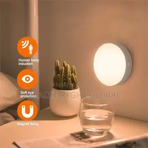 Body Induction Night Light