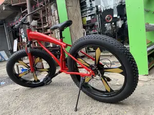 Big Tyre Bicycles H442