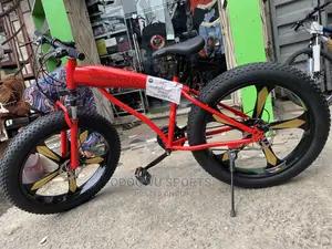 Benz Bicycle (Fat Tyre) B754