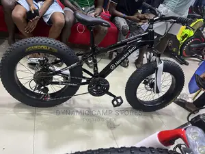 Children’S Fat Tire Bicycle