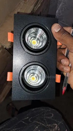 Ceiling Fitting Double Eye Light for Homes/ Hotels