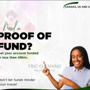 Fast Proof of Funds for Visa Processing