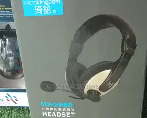 Headset With Mic Mk2688