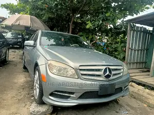 Mercedes-Benz C300 2010 Gray