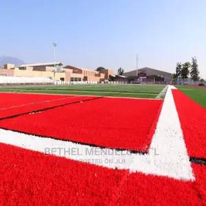 Wholesales of Best Quality 30mm Red Artificial Grass