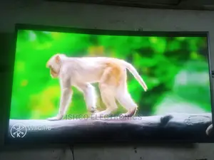 55 Inches Curve