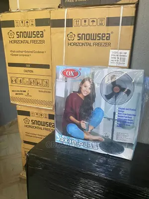 Ox 18 Inches Super Good Standing Fan