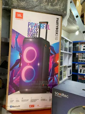 Incredible Partybox 310 JBL Sound With a Dazzling Light Show