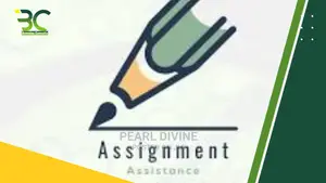 Assignment Professional Writer