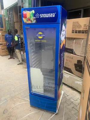 Snowsea Upright Singledoor Showcase Refrigerator | Lc 500