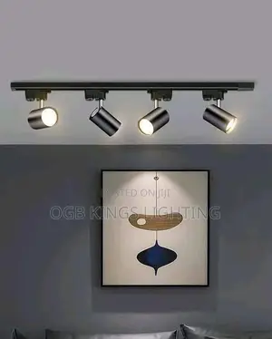 LED Track Light COB 30watts 220V COB Track Lamp
