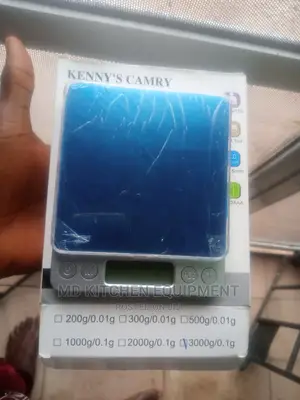 Electronic Digital Scale