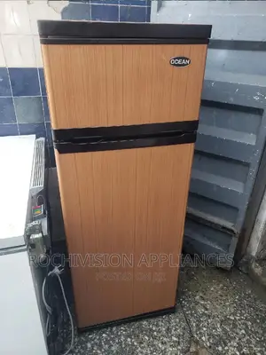 Double Door Fridge Double Refrigerator Fridge and Freezer