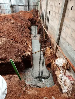 Ongoing Project