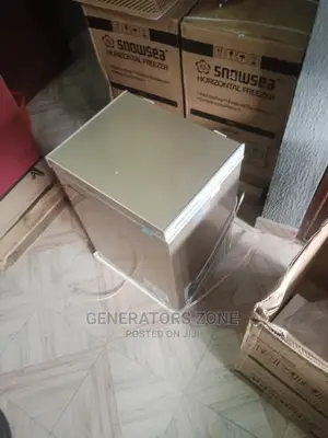 Portable Horizontal Snowesa Freezer