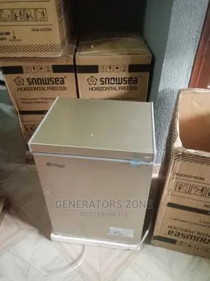 High Quality Bd-108 Chest Freezer