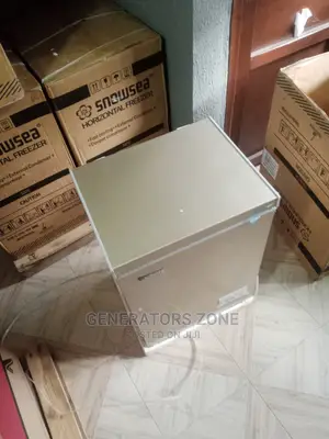 Poweful Bd-108 Snowsea Freezer