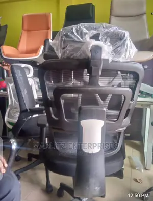 Executive Office Chair