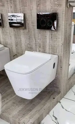 Concealed Tank and Wall Hung Wc