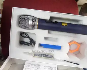 LIDAGSHENG Wireless Mic