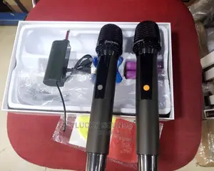 LIDAGSHENG Mobile Mic 2in1