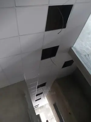 Gypsum/Acoustic /Metal Suspended Ceiling