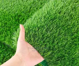 Standard Turkish Grass
