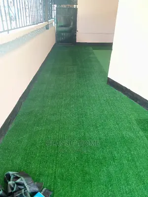 Standard Astro Turf