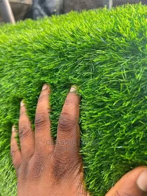 Quality Green Grass