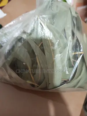 Eucalyptus Leaves - 100g
