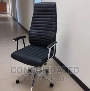 Executive Office Ergonomic Chair