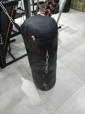 Everlast Punching Bag