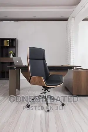Executive Office Chair