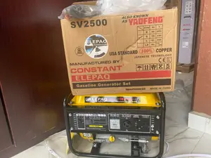 Elepaq 1.5kva Constant Manual Start Generator(Sv2500)