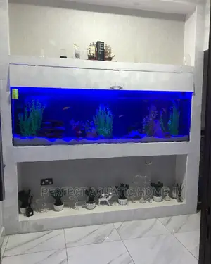 Aquarium Fit Into Cabinet