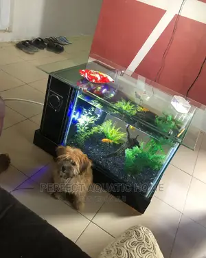 Center Table Aquarium (Black)