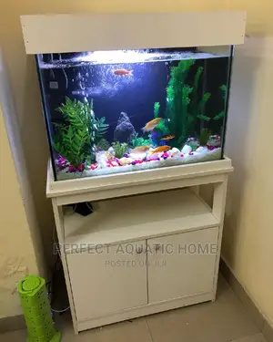 Aquarium Fish Tank
