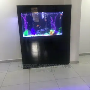 Aquarium Fishes Tank (Black)